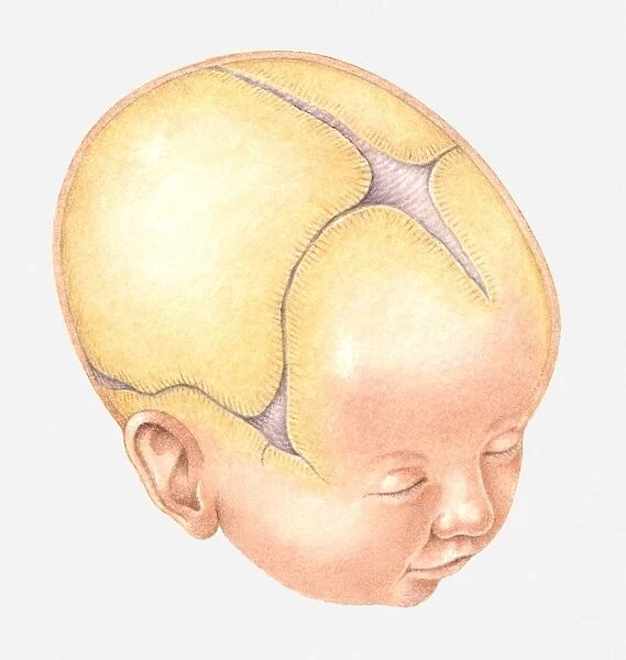 Understanding the Fontanelle on Your Baby’s Head